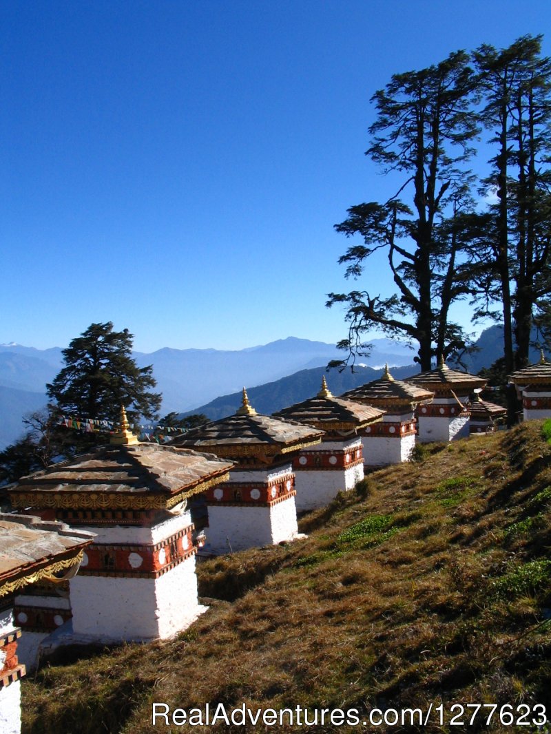 Docjula Pass (Bhutan) | Pedalers | Image #6/8 | 