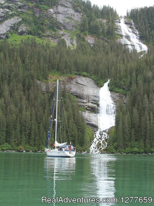 Come explore the spectacular fjords of Alaska. | Sound Sailing- Crewed Sailboat Charters in Alaska | Image #15/21 | 