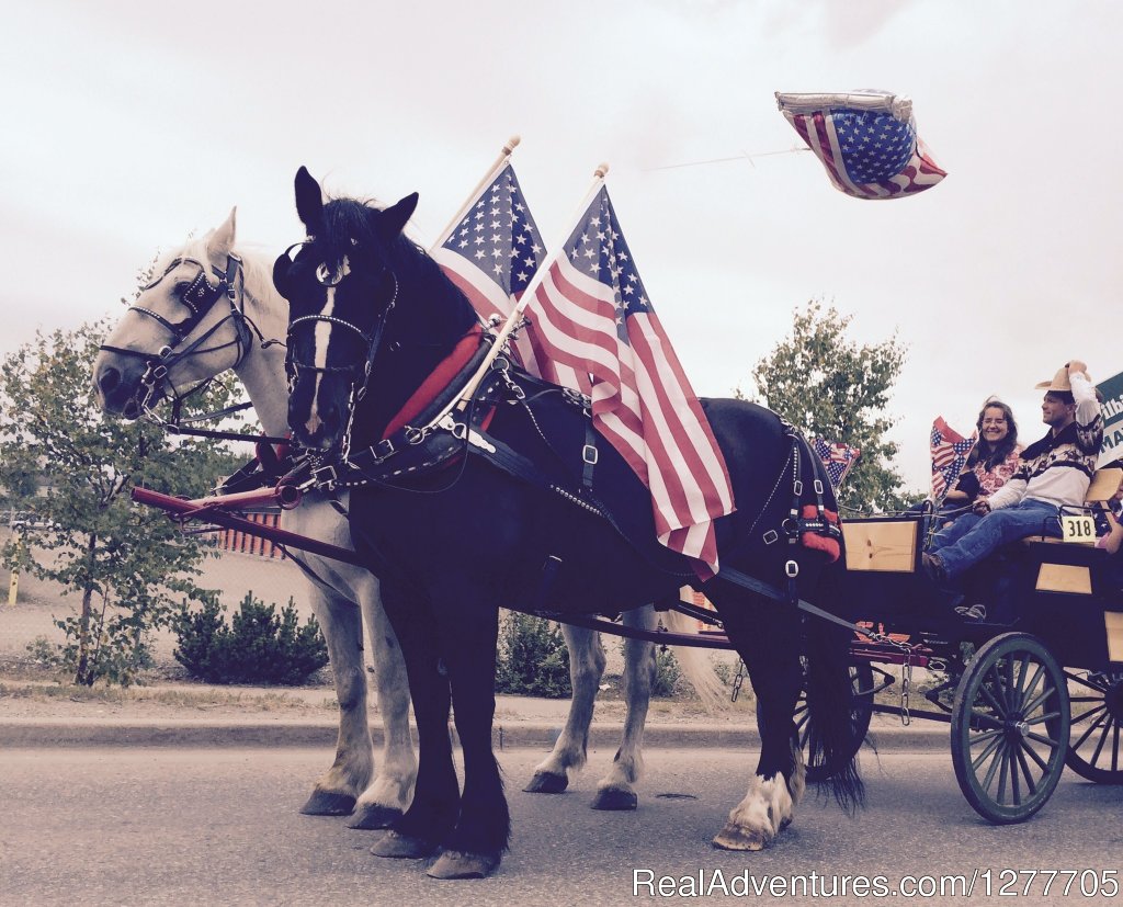 Alaska Horse Adventures | Image #3/9 | 