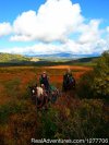 Denali Horseback Tours | Healy, Alaska
