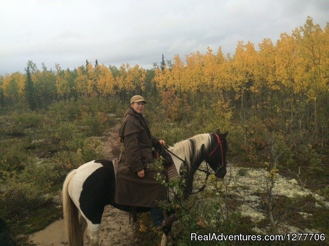 Fall horseback tour | Denali Horseback Tours | Image #4/9 | 
