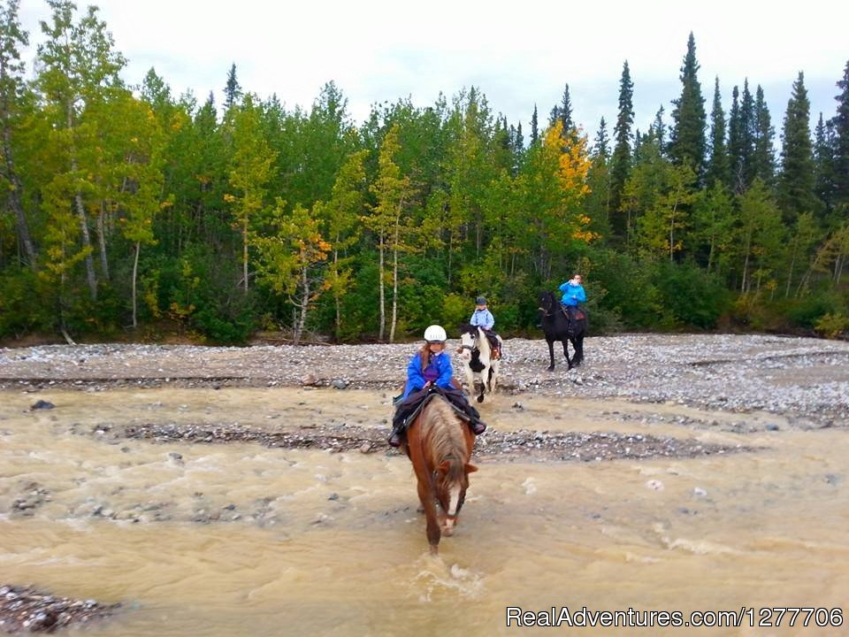 Alaskan trail ride - creek crossing | Denali Horseback Tours | Image #5/9 | 
