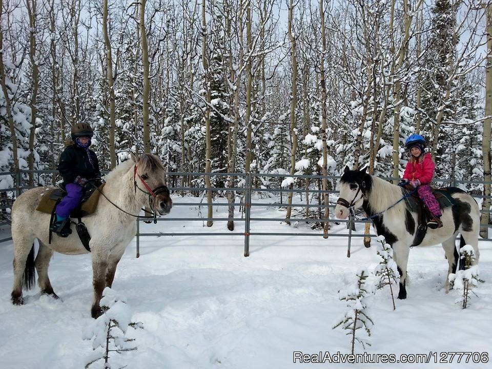 Winter riding in Alaska | Denali Horseback Tours | Image #6/9 | 