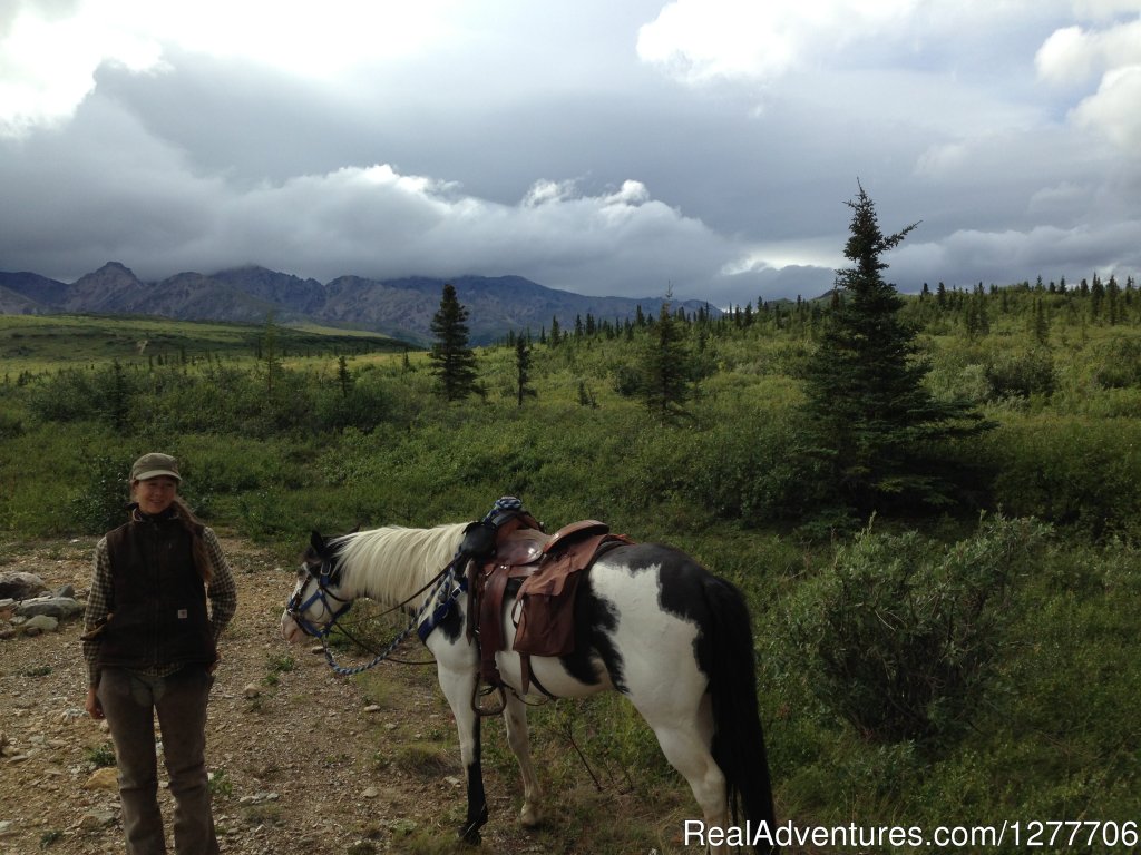 Alaskan backcountry | Denali Horseback Tours | Image #7/9 | 