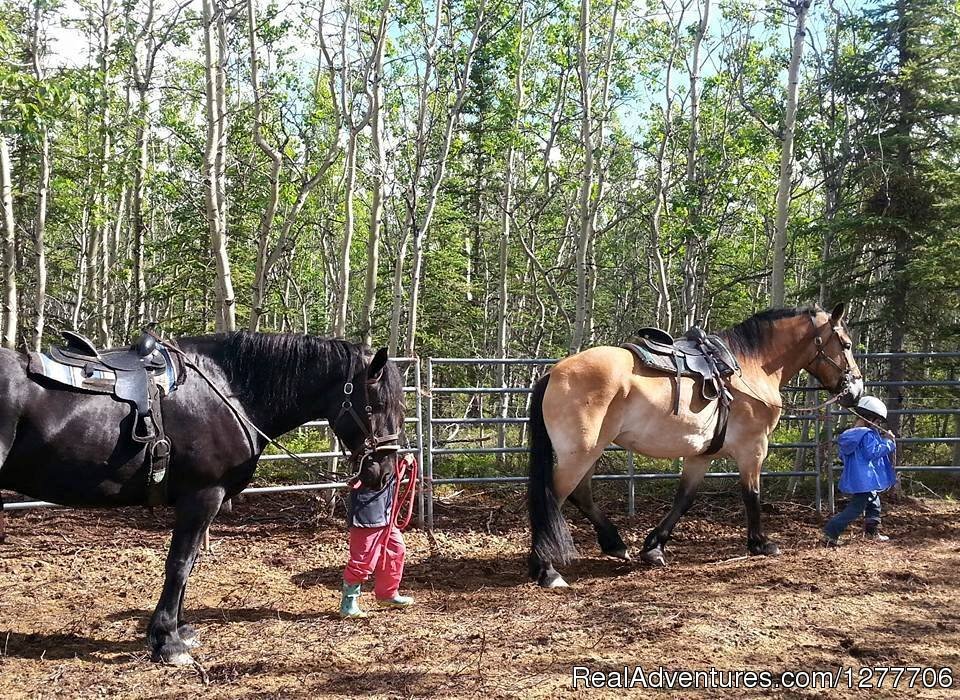 Riding lessons | Denali Horseback Tours | Image #9/9 | 