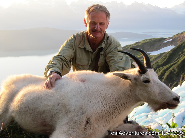 Alaska Fair Chase Guiding Mountain goat hunt