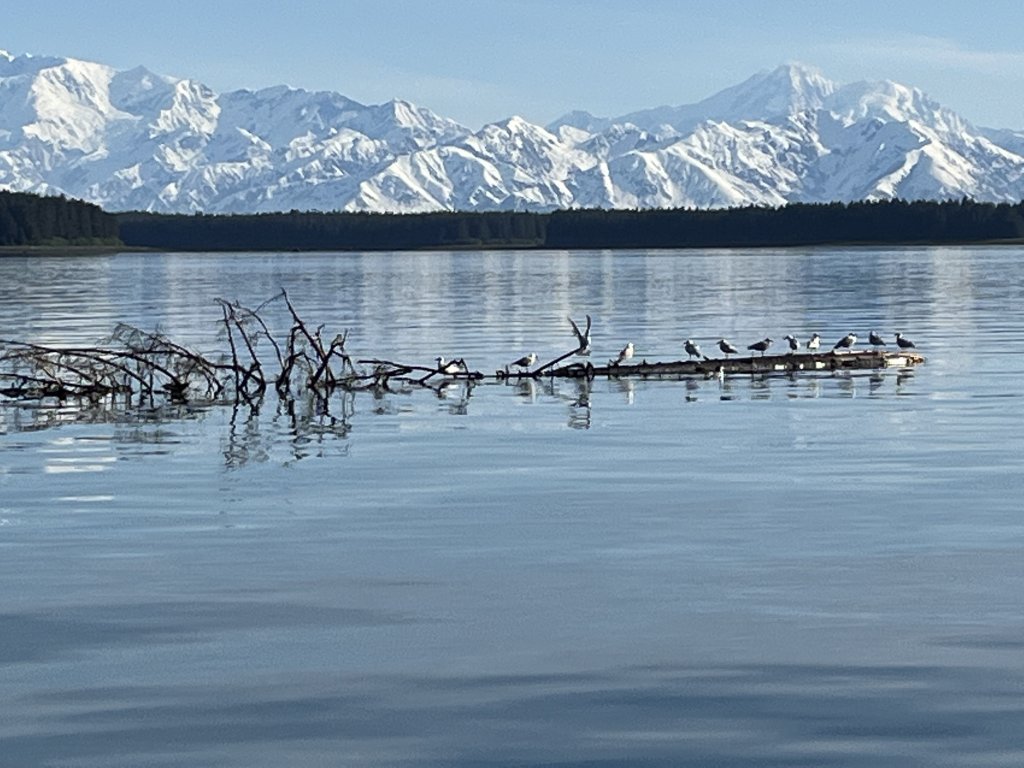 Yakutat Bay | Sailing Alaska | Auke Bay, Alaska  | Sailing | Image #1/8 | 