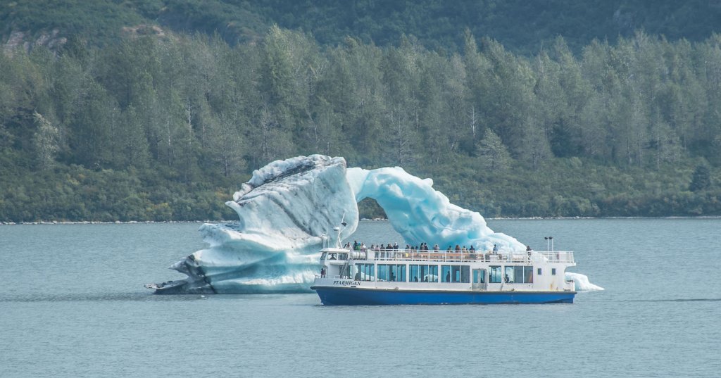 Mv Ptarmigan And An Iceberg | Glaciers & Wildlife: Super-Scenic Day Tour | Image #11/11 | 