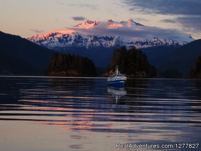 Custom Alaska Cruises | Image #11/12 | 