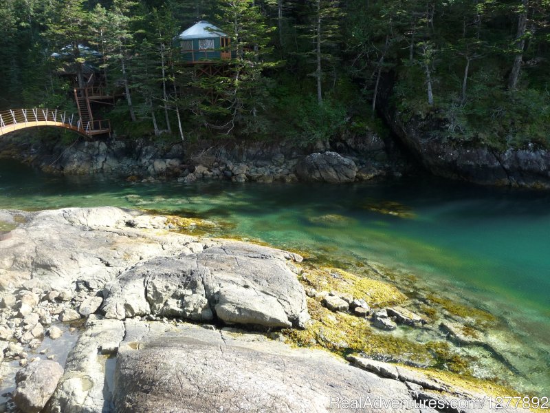 Tide pool viewing | Orca Island Cabins | Image #6/12 | 