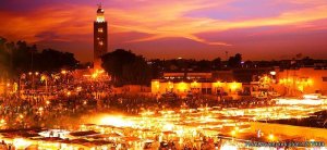 Visitas Guiadas de Marrakech | Marrakech, Morocco Wildlife & Safari Tours | Wildlife & Safari Tours Merzouga, Errachadia Sahara Desert, Morocco