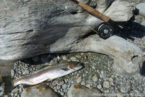 Trout and Driftwood | Foot & Chain | Image #10/10 | 