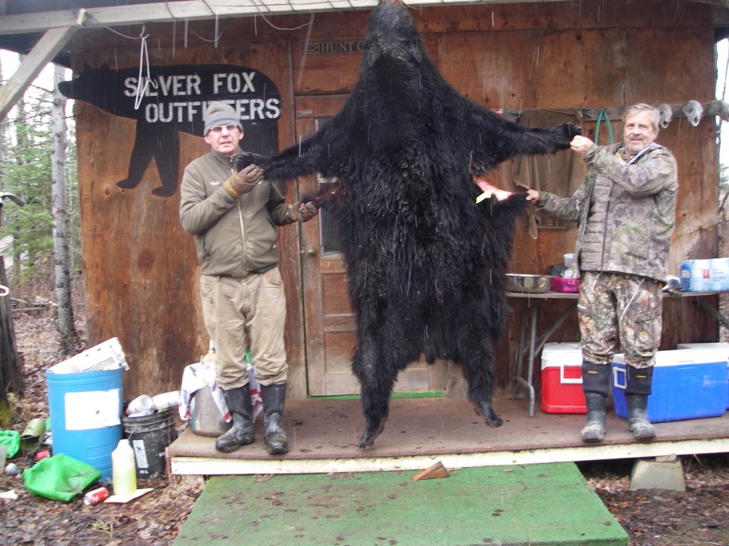 Excellent Alberta Black Bear Hunting | Image #3/8 | 