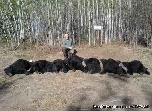 Excellent Alberta Black Bear Hunting | Yellowhead County, Alberta  | Hunting Trips | Image #1/8 | 