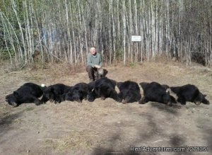 Excellent Alberta Black Bear Hunting | Yellowhead County, Alberta Hunting Trips | Alberta Fishing & Hunting
