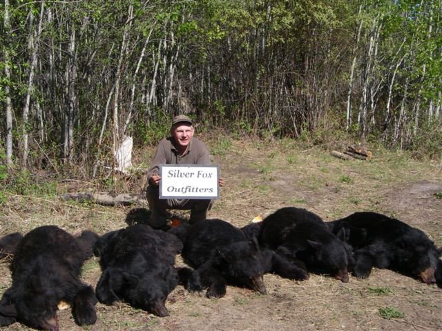 Excellent Alberta Black Bear Hunting | Image #5/8 | 