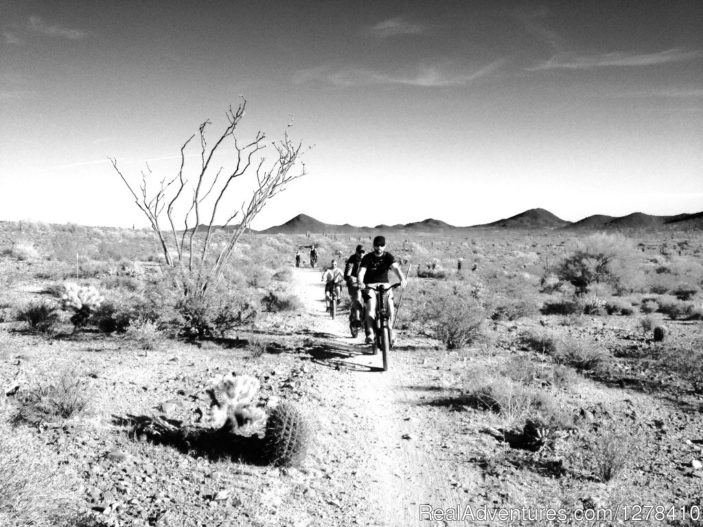 Sonoran Desert Ebike Tour | Journey Arizona Tours | Phoenix, Arizona  | Bike Tours | Image #1/9 | 