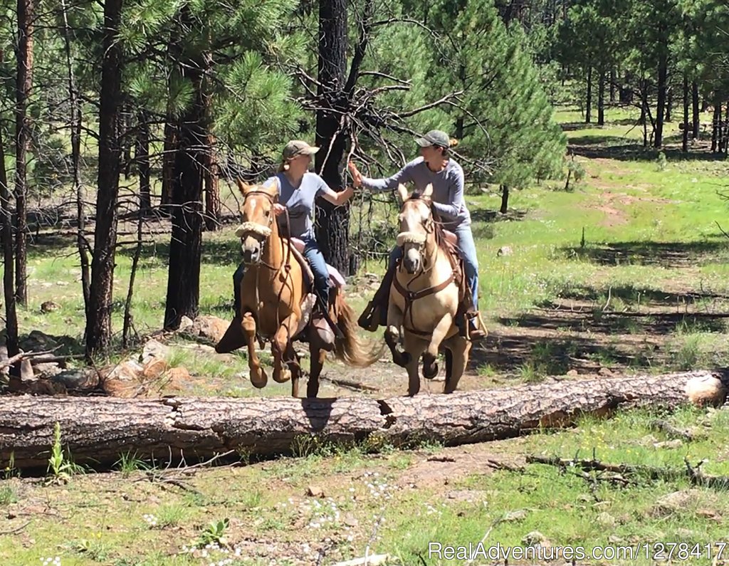 Sprucedale Guest Ranch | Alpine, Arizona  | Horseback Riding & Dude Ranches | Image #1/6 | 