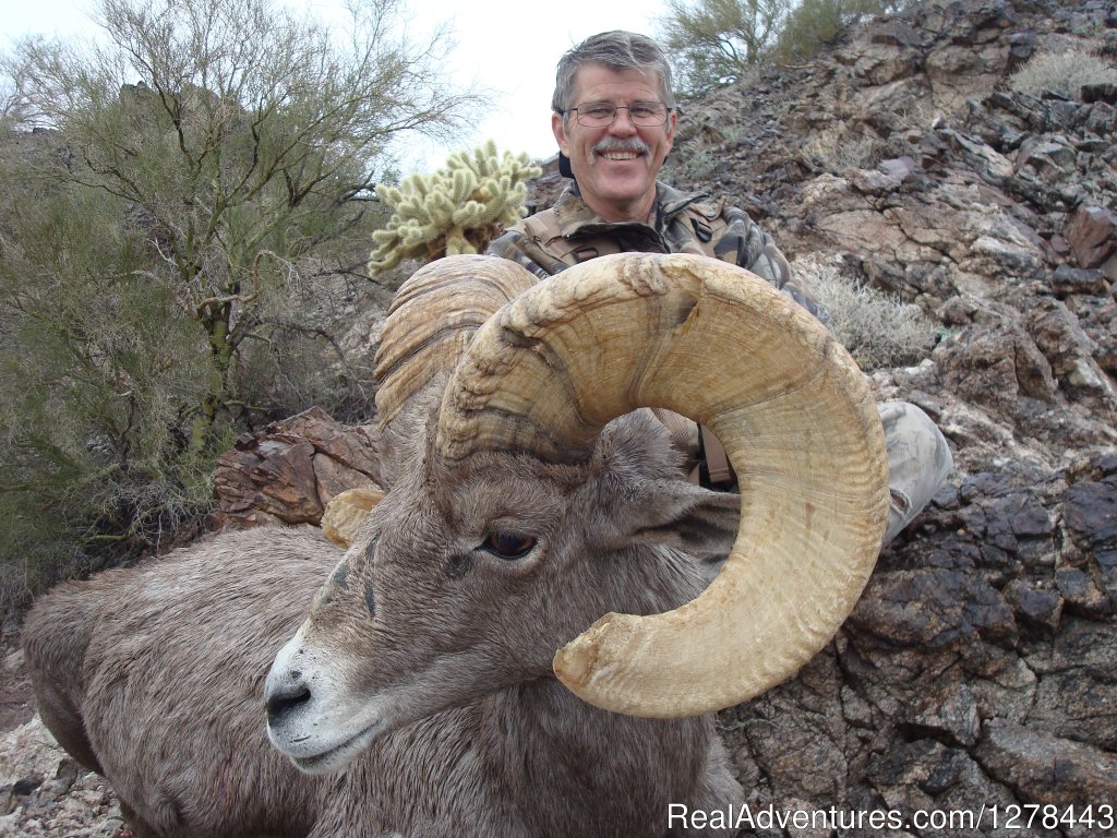 Desert Bighorn Sheep | Arizona Guided Hunts | Vail, Arizona  | Hunting Trips | Image #1/11 | 