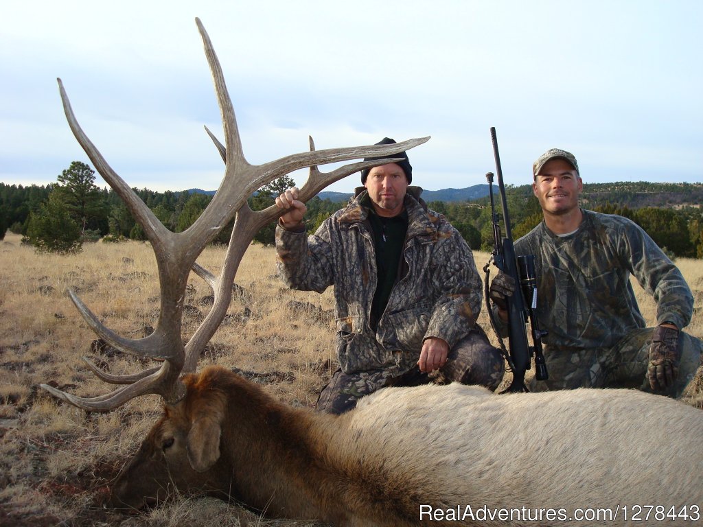 Arizona Elk Hunting Outfitters and Guides | Arizona Guided Hunts | Image #2/11 | 