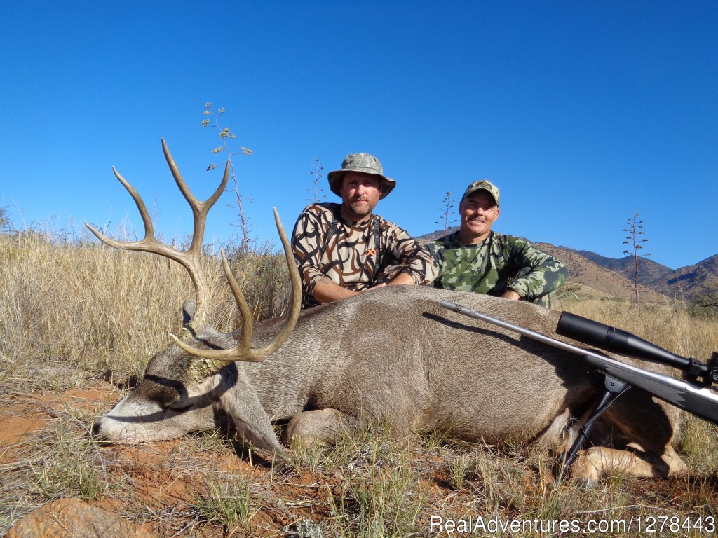 Desert Mule Deer Hunting | Arizona Guided Hunts | Image #3/11 | 