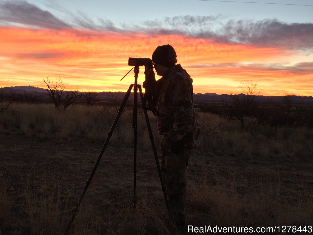 Glassing for Big Game animals in the deserts of Arizona | Arizona Guided Hunts | Image #6/11 | 