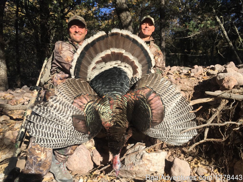 Arizona Gould's Turkey Hunting Guides Outfitters | Arizona Guided Hunts | Image #7/11 | 