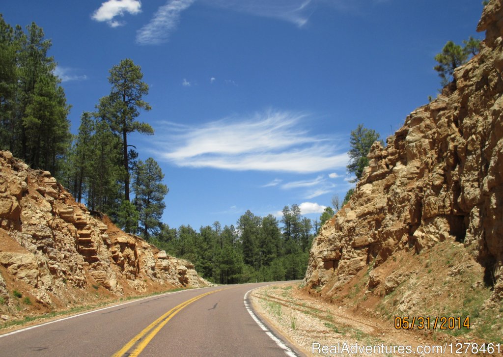 Enjoy the open road | Guided Motorcycle Tours in Arizona & the Southwest | Image #4/5 | 