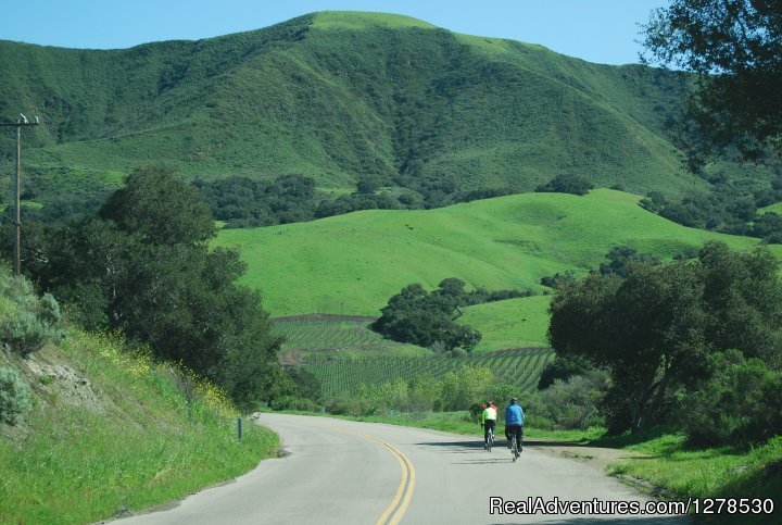 Beautiful Pinot Noir Country | Santa Barbara Wine Country Cycling Tours | Image #5/17 | 