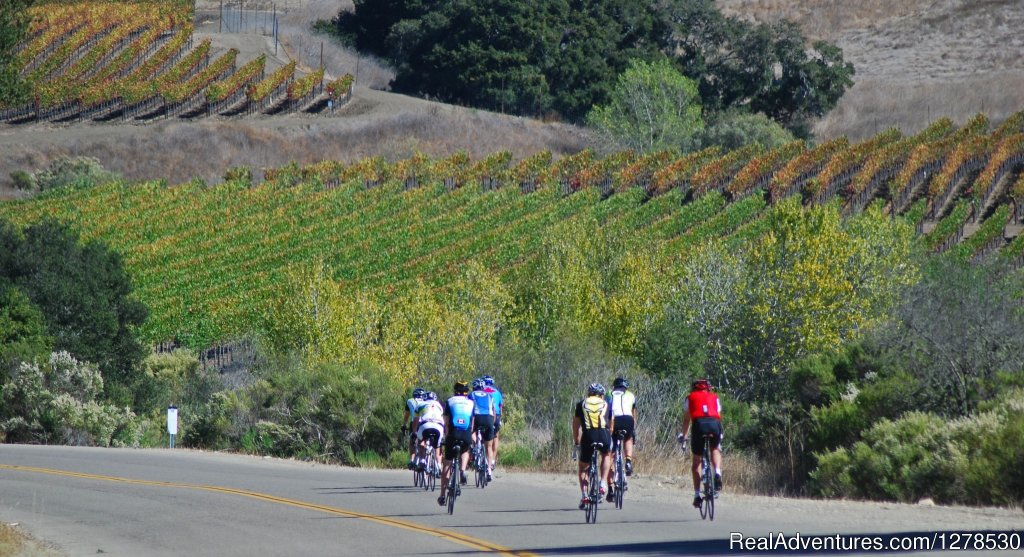 Enjoying a tailwind | Santa Barbara Wine Country Cycling Tours | Image #9/17 | 