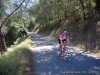 Santa Barbara Wine Country Cycling Tours | Santa Ynez, California