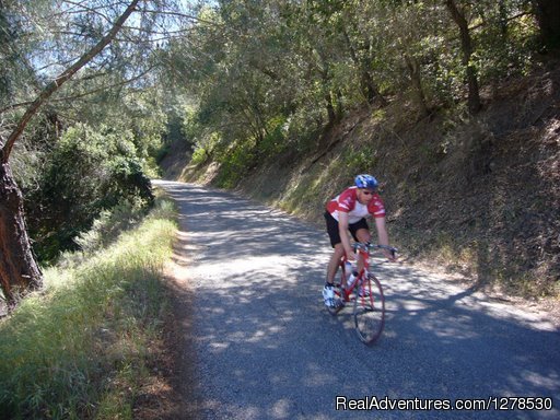 Epic Rides | Santa Barbara Wine Country Cycling Tours | Santa Ynez, California  | Bike Tours | Image #1/17 | 