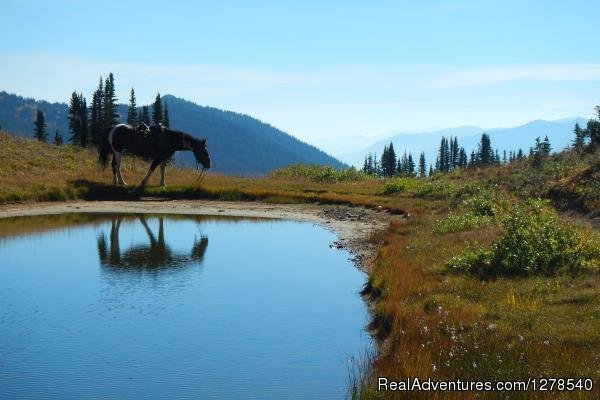 Horse at lake | Chilcotin Holidays | Image #2/11 | 