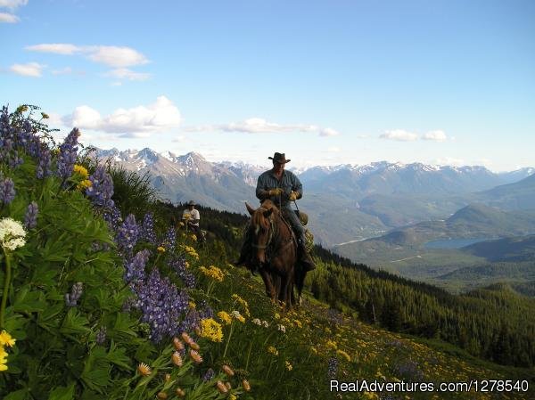 Pack trip | Chilcotin Holidays | Gold Bridge, British Columbia  | Horseback Riding & Dude Ranches | Image #1/11 | 