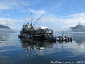 'Follow the Fish' Westwind Tugboat Adventures