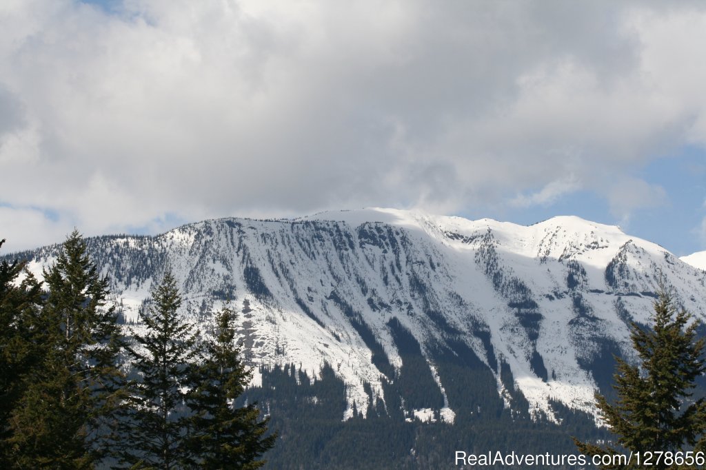 Our View | Whispering Spruce Campground & RV Park | Golden, British Columbia  | Campgrounds & RV Parks | Image #1/2 | 