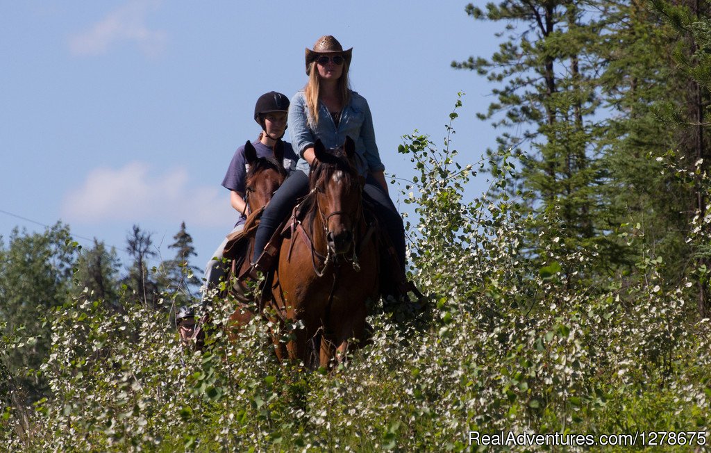 Trail riding | Free Rein Guest Ranch | Image #2/10 | 