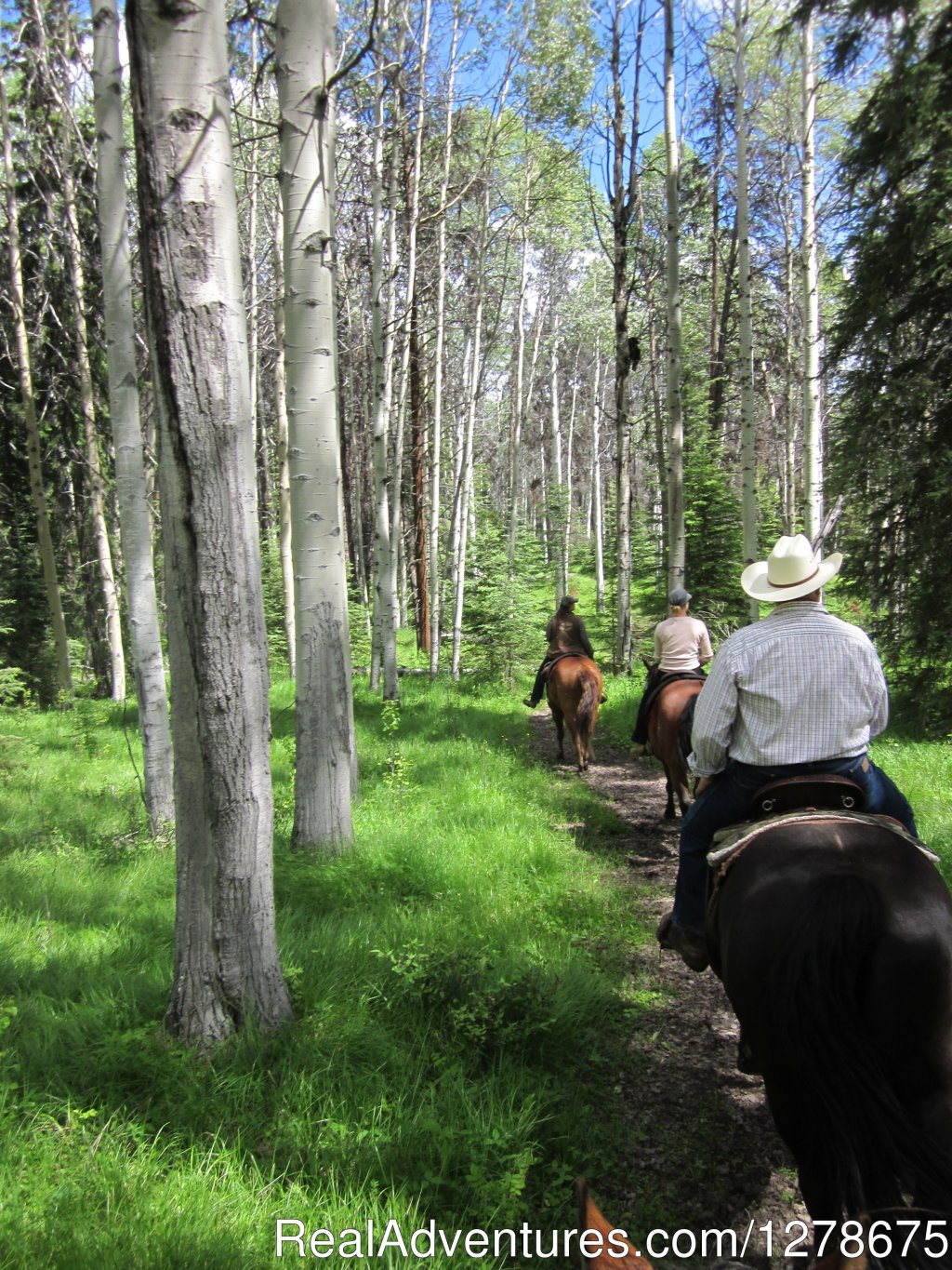 Riding through the aspens | Free Rein Guest Ranch | Image #4/10 | 