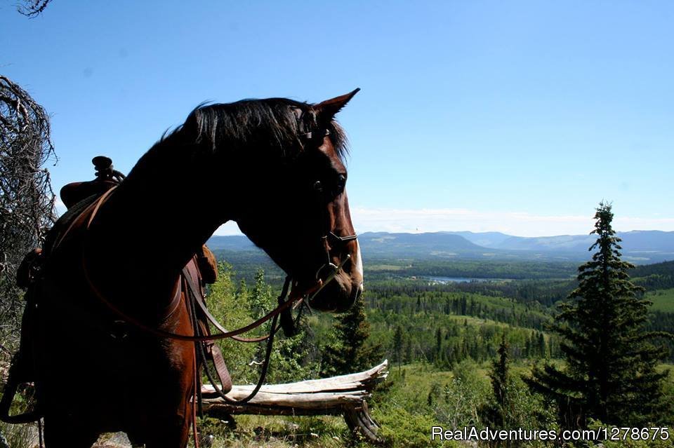 Panoramic views of the Cariboo | Free Rein Guest Ranch | Image #5/10 | 