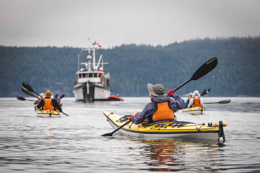 Mothership Kayaking In British Columbia With Mothership Adve | Mothership Adventures | Heriot Bay, British Columbia  | Eco Tours | Image #1/6 | 