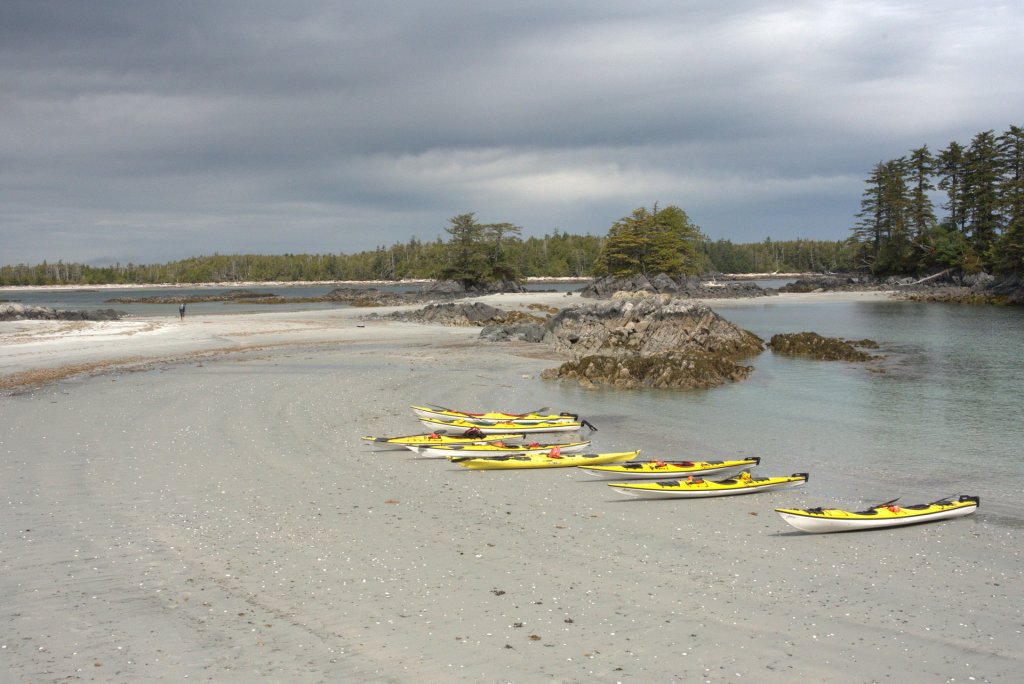 Kayak On Beach In The Great Bear Rainforest | Mothership Adventures | Image #6/6 | 