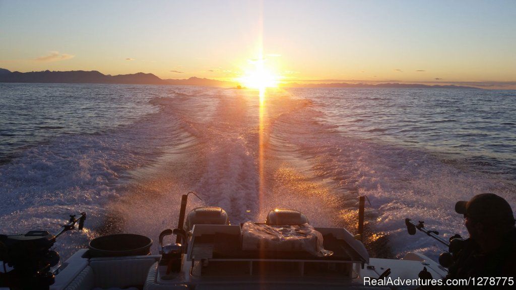 West Coast sunrise cruise | Wild Pacific Charters | Image #8/11 | 