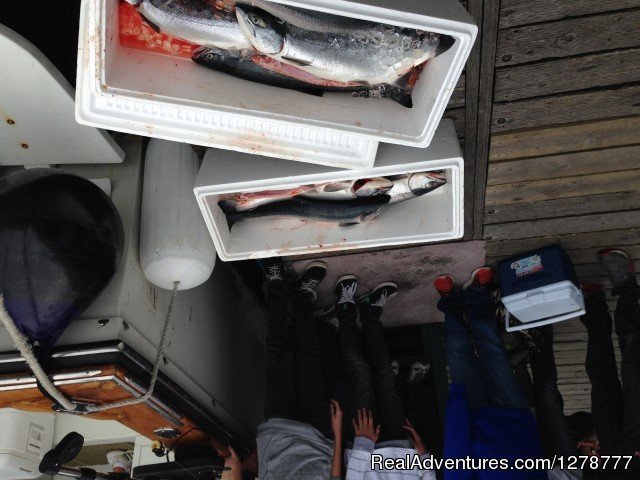 Salmon Fishing | Aquatic Venture | Image #3/6 | 