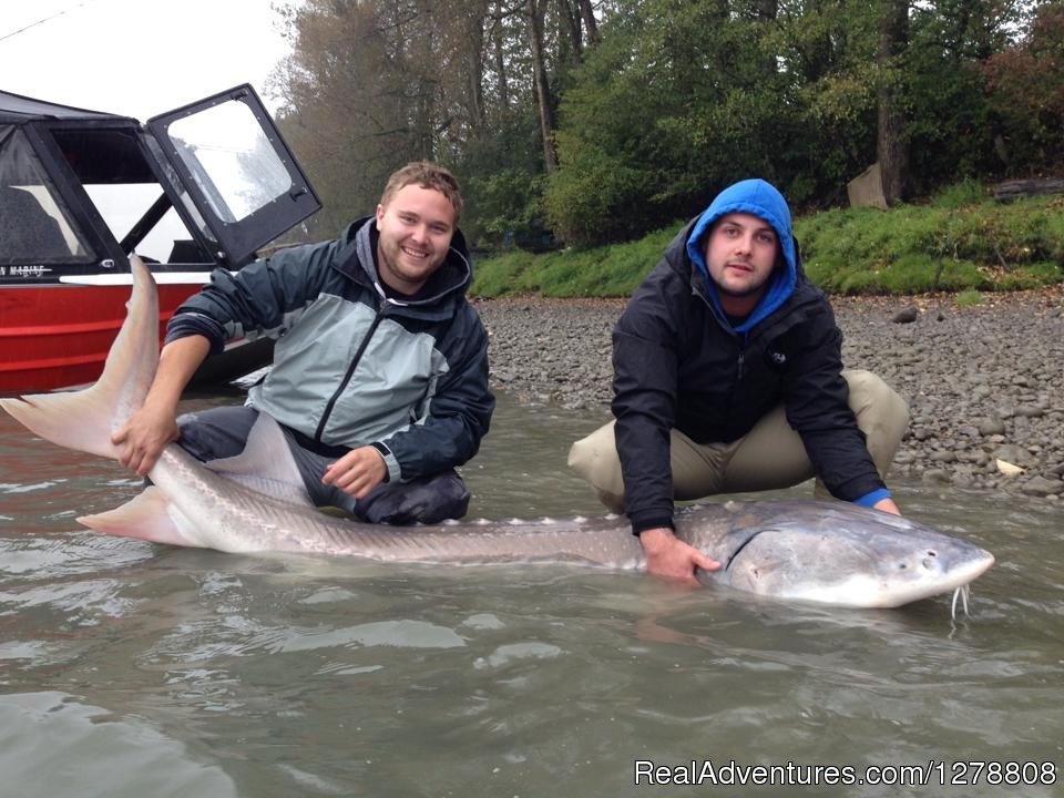 Fraser River Mission sturgeon | Sts Guiding Service | Image #4/19 | 
