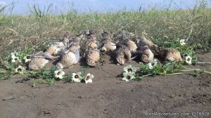 Big and small game hunting in Romania