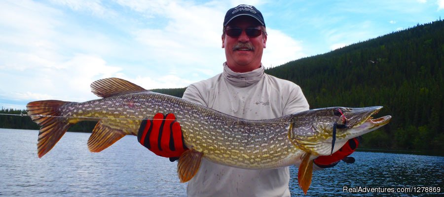 Northern Pike | Northern Rockies Lodge | Image #2/6 | 