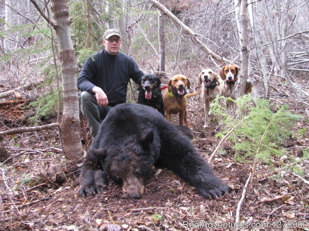Big Game hunting in British Columbia | Image #2/5 | 