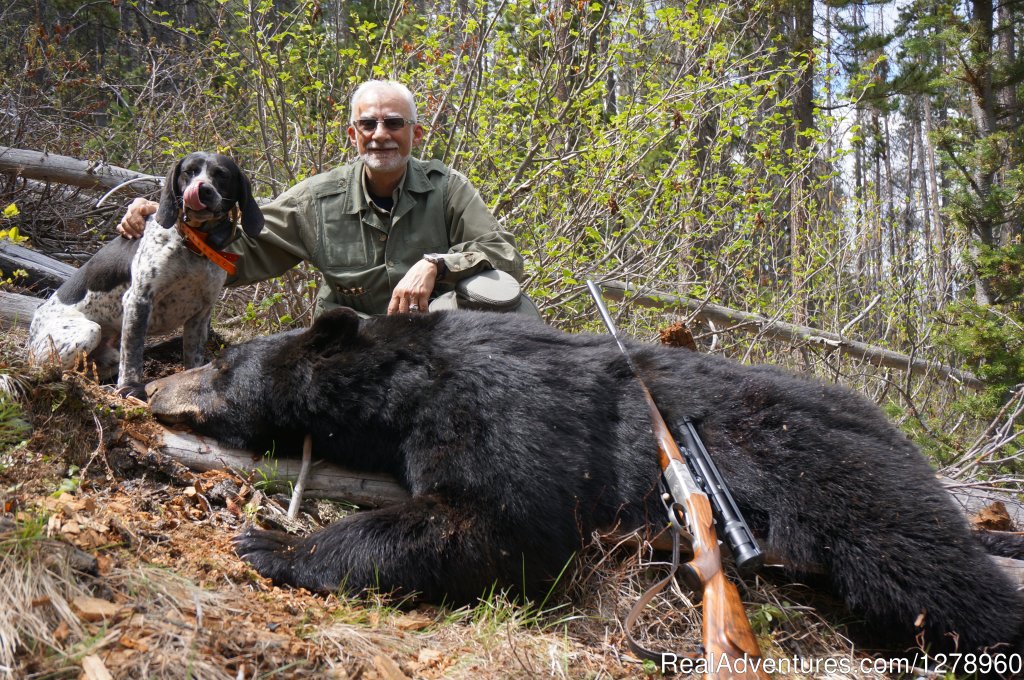 Biggest Bears | Big Game hunting in British Columbia | Image #5/5 | 