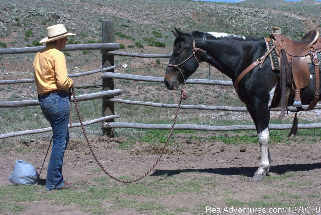 Natlie working with Spike | Badger Creek Ranch - Working Ranch Experiences | Image #4/4 | 