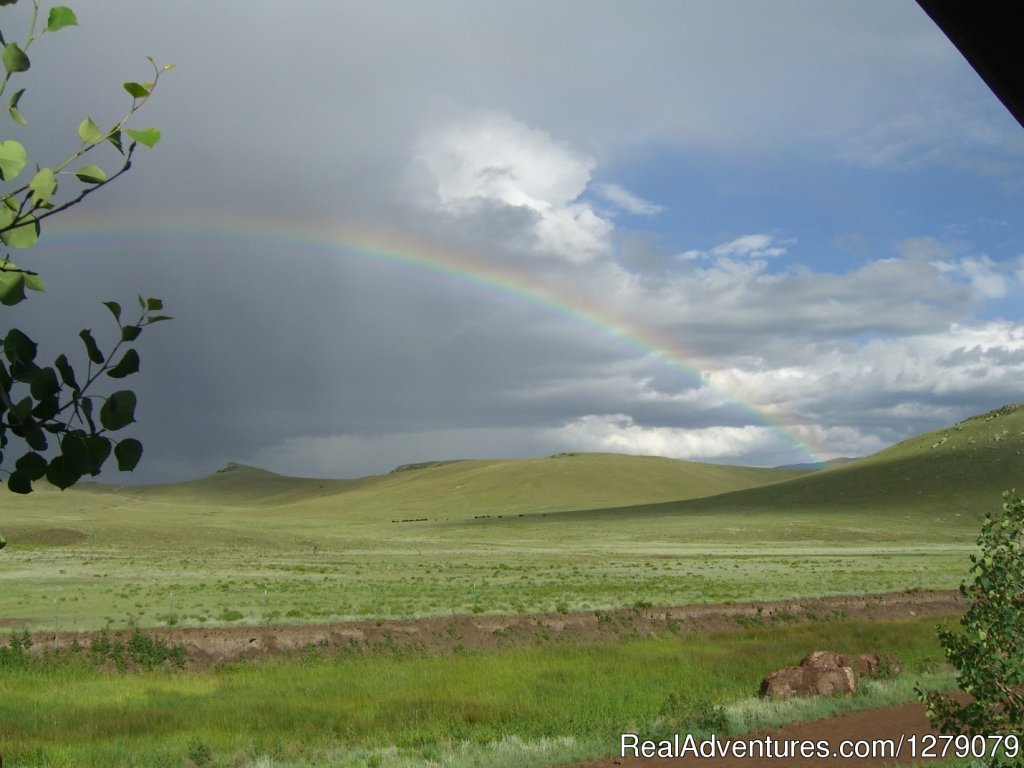 Rainbow | Badger Creek Ranch - Working Ranch Experiences | Canon City, Colorado  | Horseback Riding & Dude Ranches | Image #1/4 | 